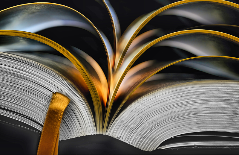 1st Place  Knowledge Lights the Way by Patrick Stone 